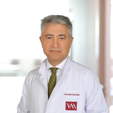 Abdullah Yalçın Tabak