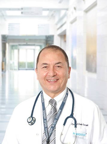 Ahmet Nadir Tosyalı