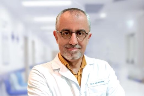 Assistant Professor Alp Kayıran