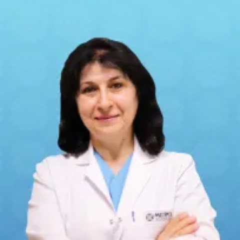 Aynur Mehmed