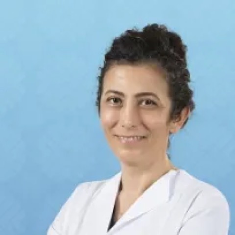 Elvan Dolanmaz