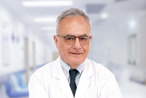Haluk Aydın Topaloğlu