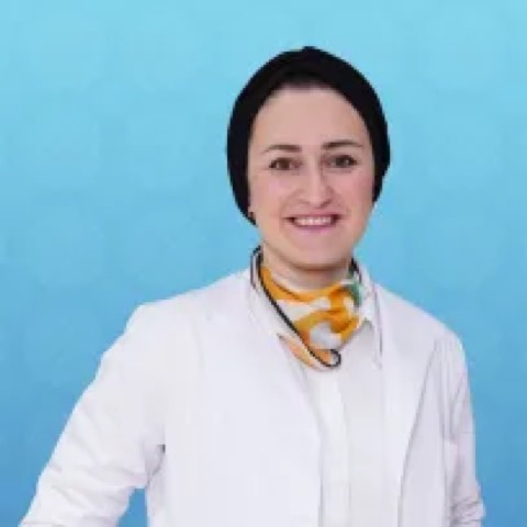 Hande Erman