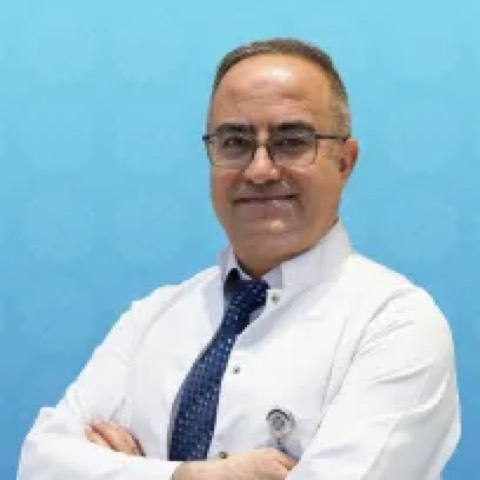 İhsan Alur
