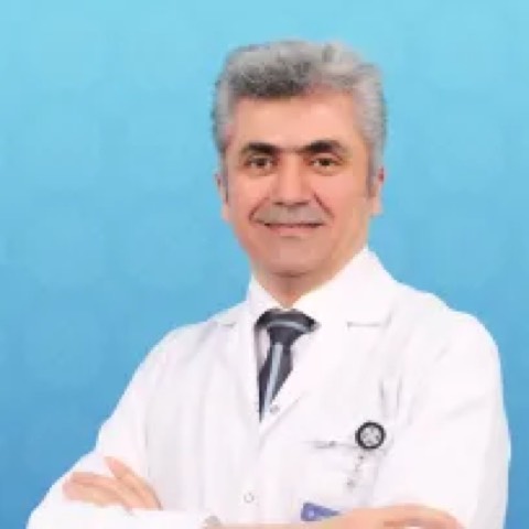 Lütfü Şeneldir