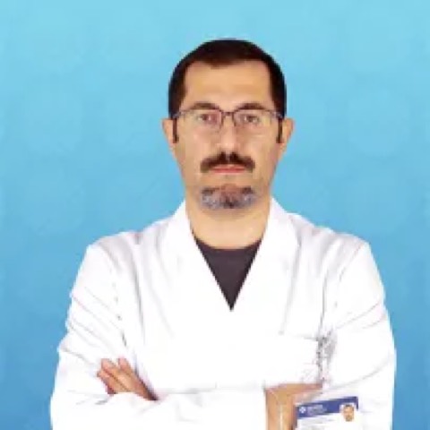 Mahmut Algül
