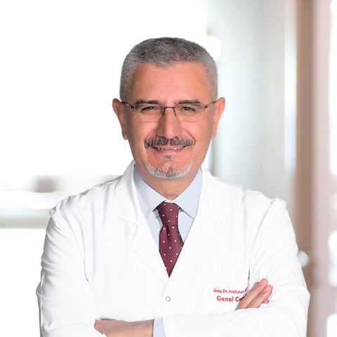 Mehmet Güler