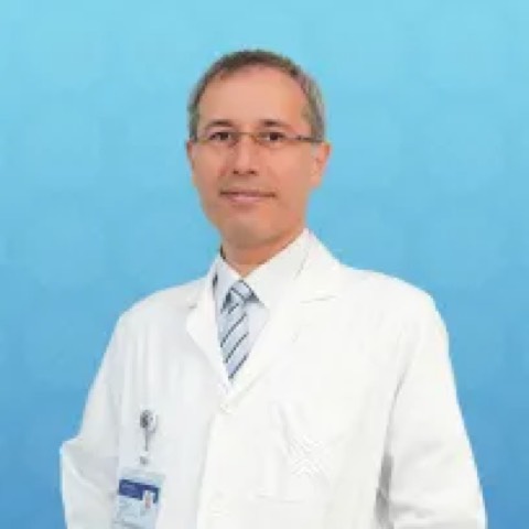 Mehmet Halis Çerçi