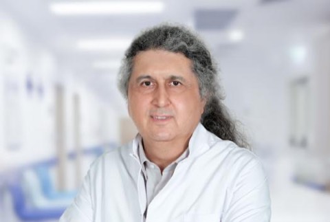 Mehmet Oktay Taşkapan