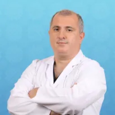 Metin Yegen