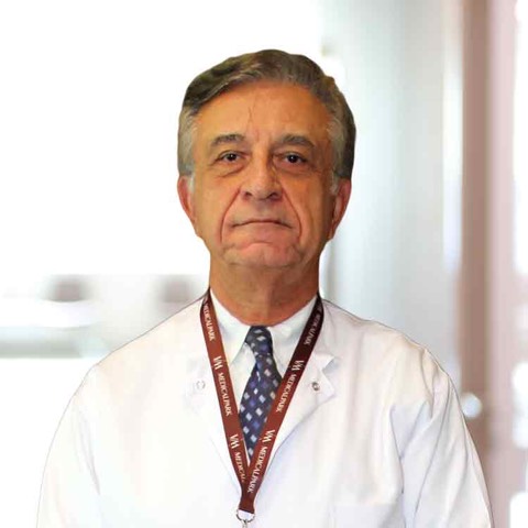 Mustafa Ateş Özyeğin