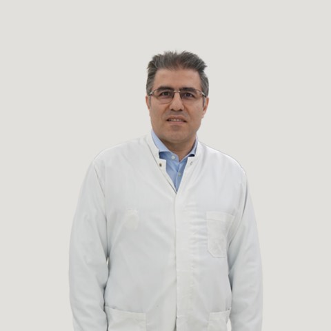 Merdan Fayda
