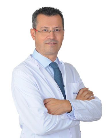 Tansel Erol