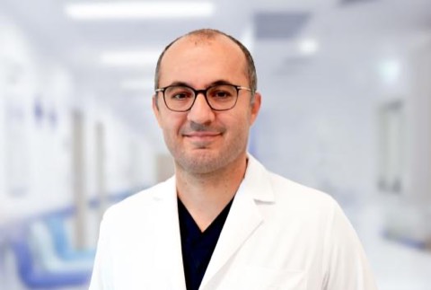 Taylan Akgün