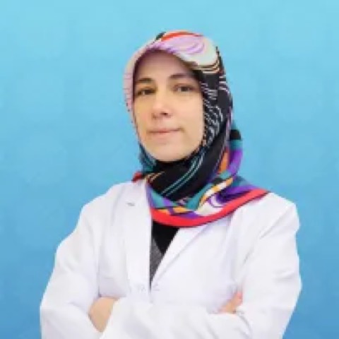 Zeynep Eğri Kansu